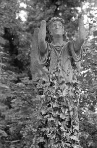 A black and white image of a stone angel in a graveyard, its arms aloft, but with no hands, impotently raving against its own decay